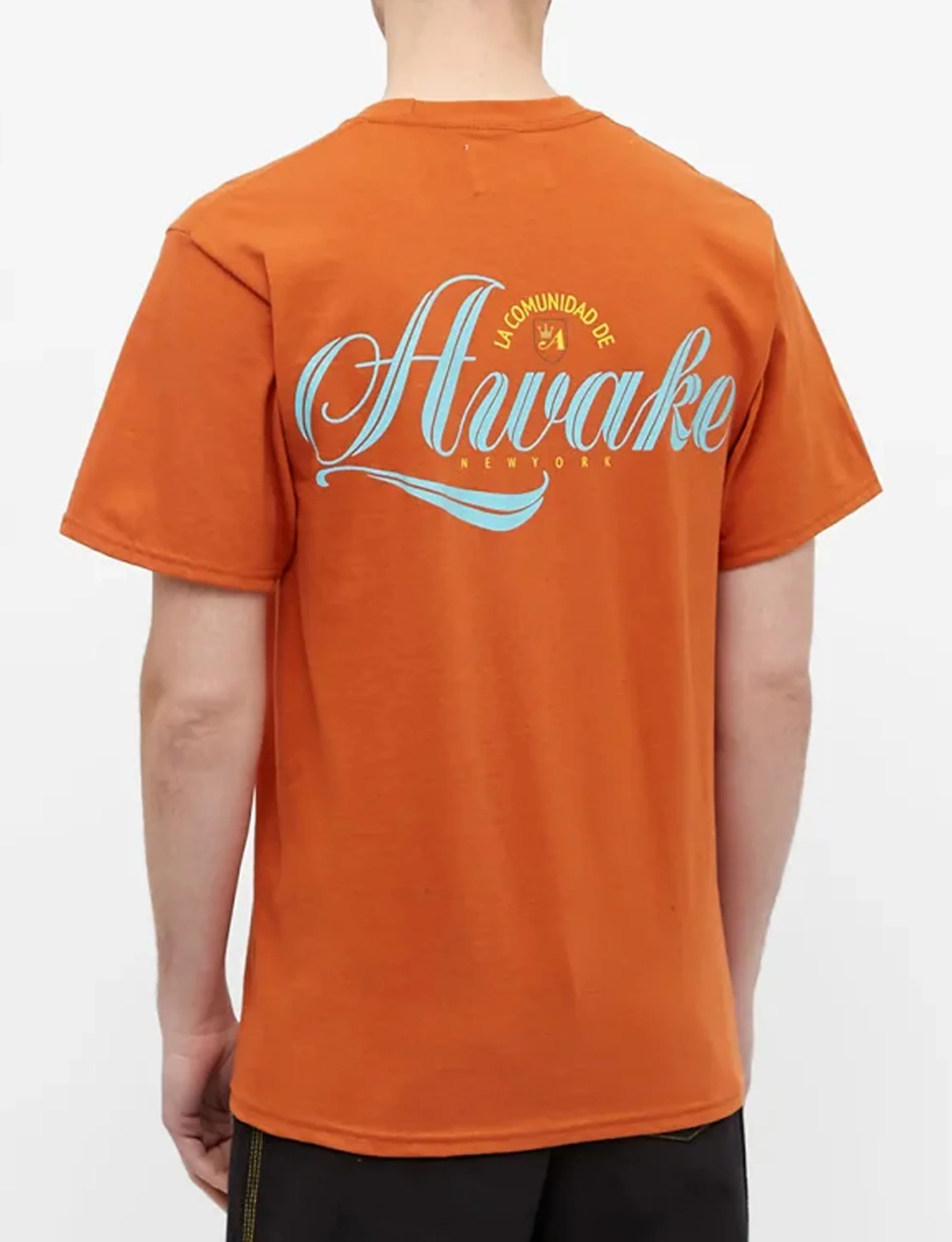 AWAKE NY COMUNIDAD LOGO T-SHIRT RUST - Image 4