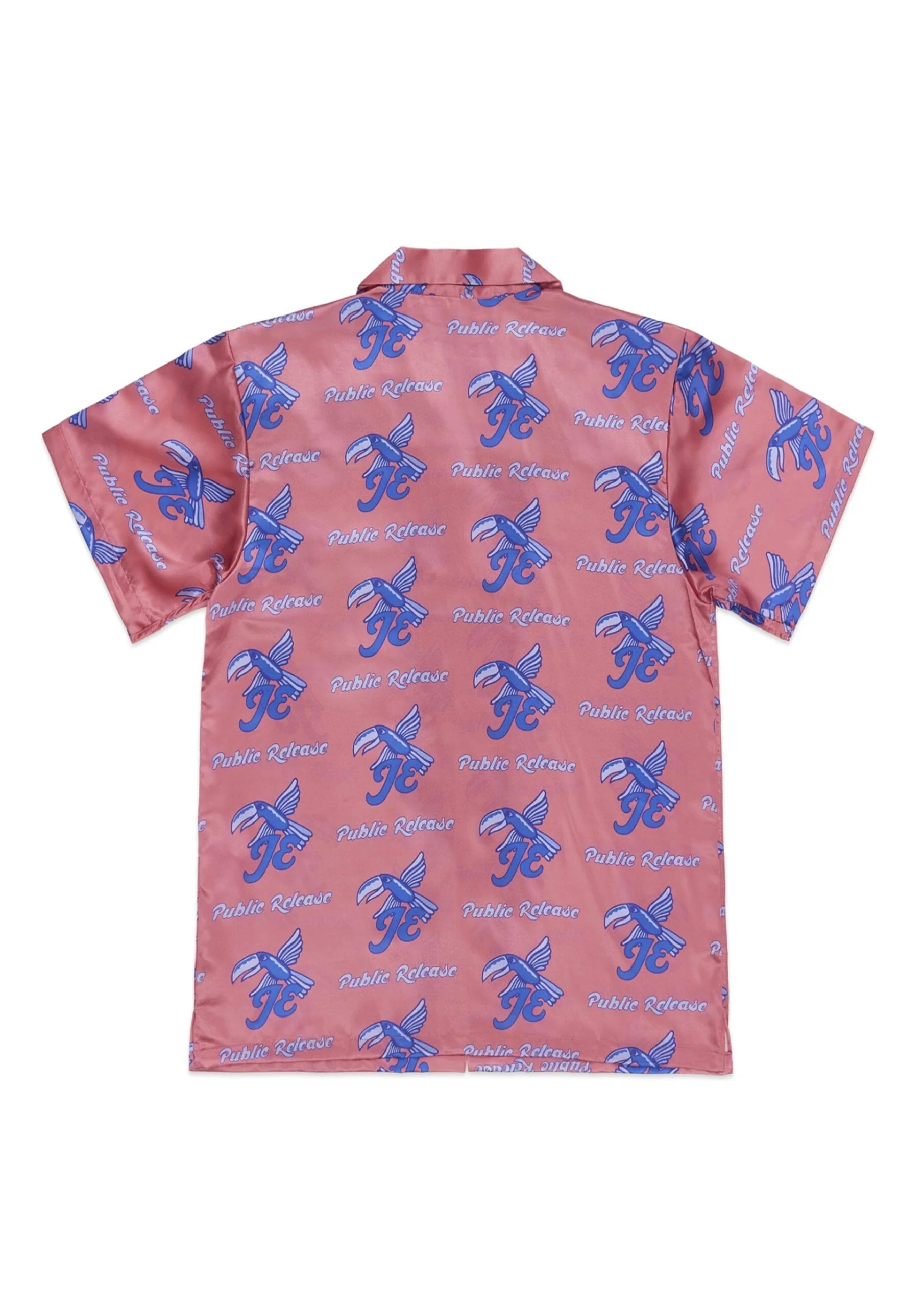JUNIOR EXECUTIVE X PUBLIC RELEASE VIBE SHIRT - Image 2