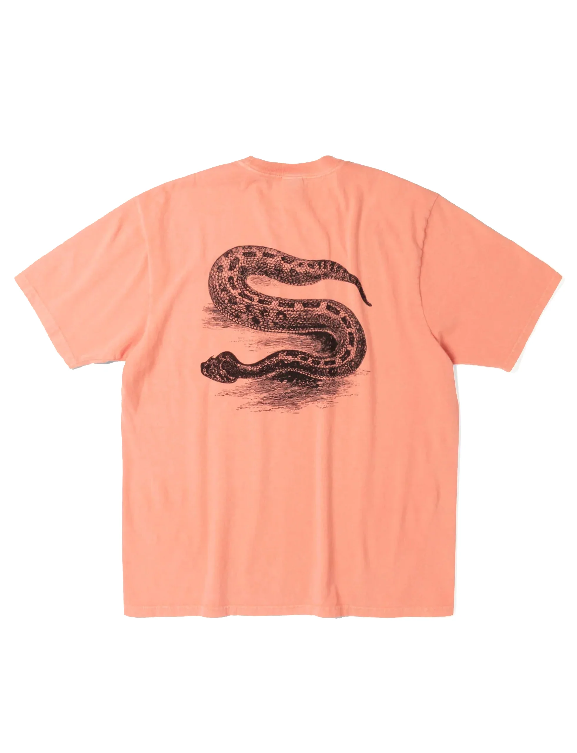 STÜSSY SERPENT TEE PIGMENT DYED SHERBERT - Image 2